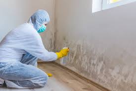 Best Comprehensive Air Testing for Mold Contaminants  in Tuscola, IL