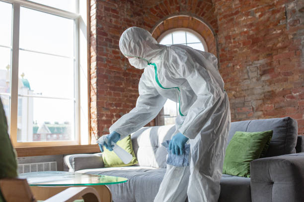  Tuscola, IL Mold Removal & Remediation Pros